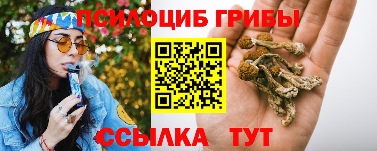 Псилоцибиновые грибы мухоморы Ливны