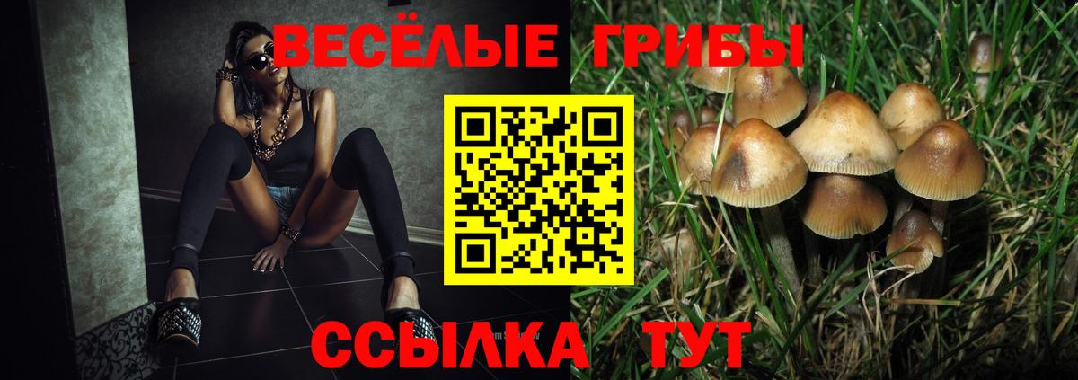 Ливны  Псилоцибиновые грибы мухоморы  Вход с VPN 